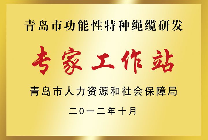 青島市功能性特種繩纜研發(fā)專(zhuān)家工作站.jpg
